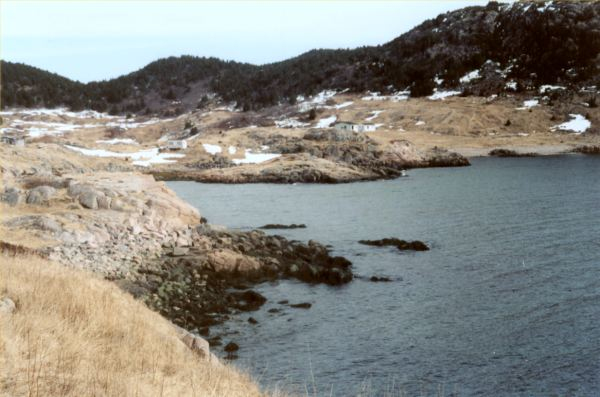 563: Red Island. "View from the top of the hill out where Kate Barry lived". (2002)  [courtesy of Madonna (Bishop) Mulrooney]